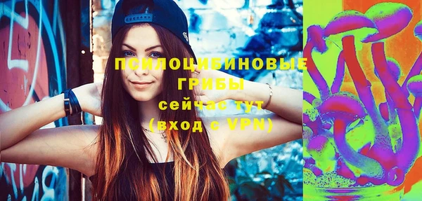 дмт Мегион