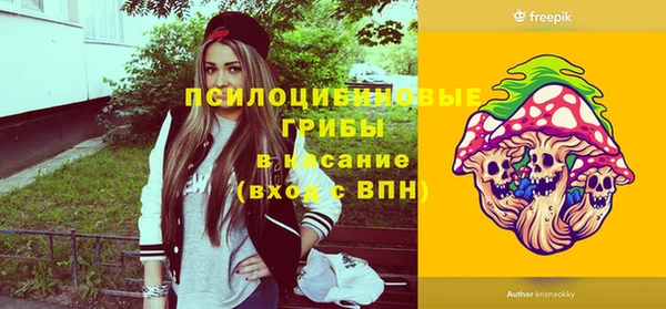 дмт Мегион