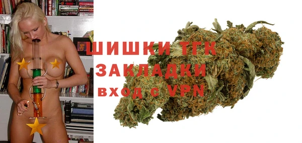 дмт Мегион