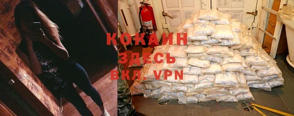 дмт Мегион
