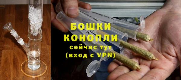 дмт Мегион